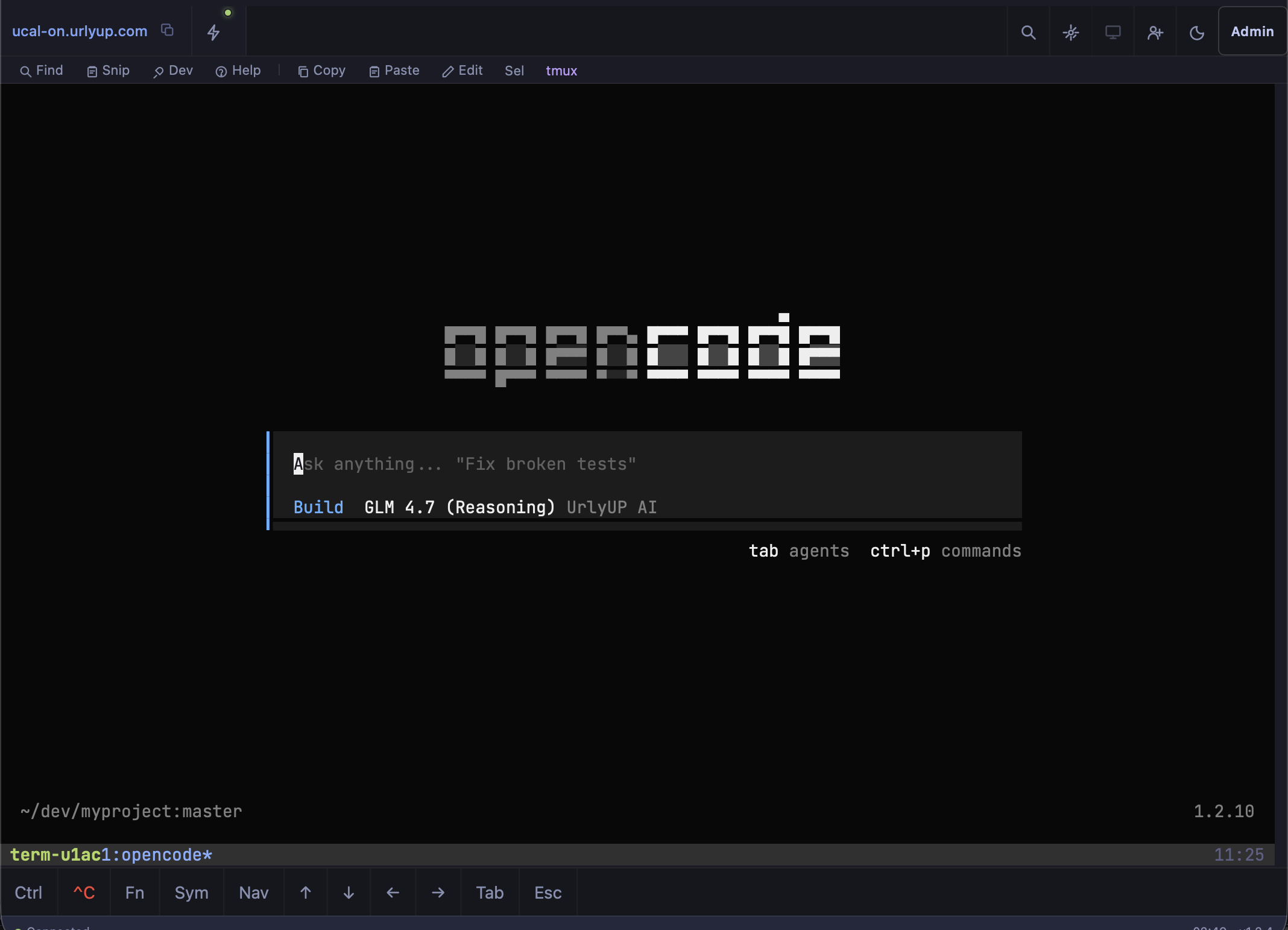 OpenCode AI coding agent running in browser terminal